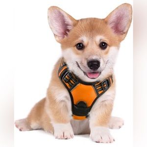 NWOT Size SM RABBITGOO Lightweight Orange Reflective Dog Harness w/5ft. Leash
